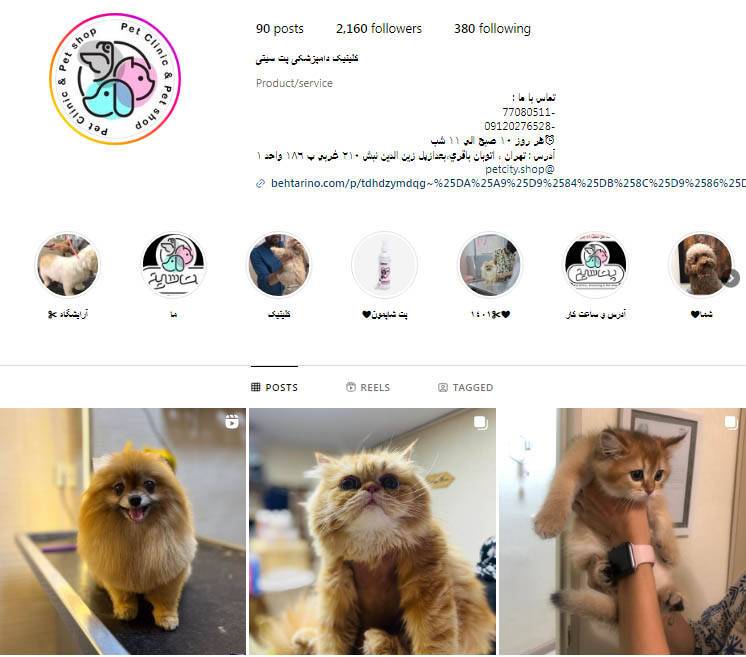 کلینیک دامپزشکی پت سیتی در اتوبان باقری